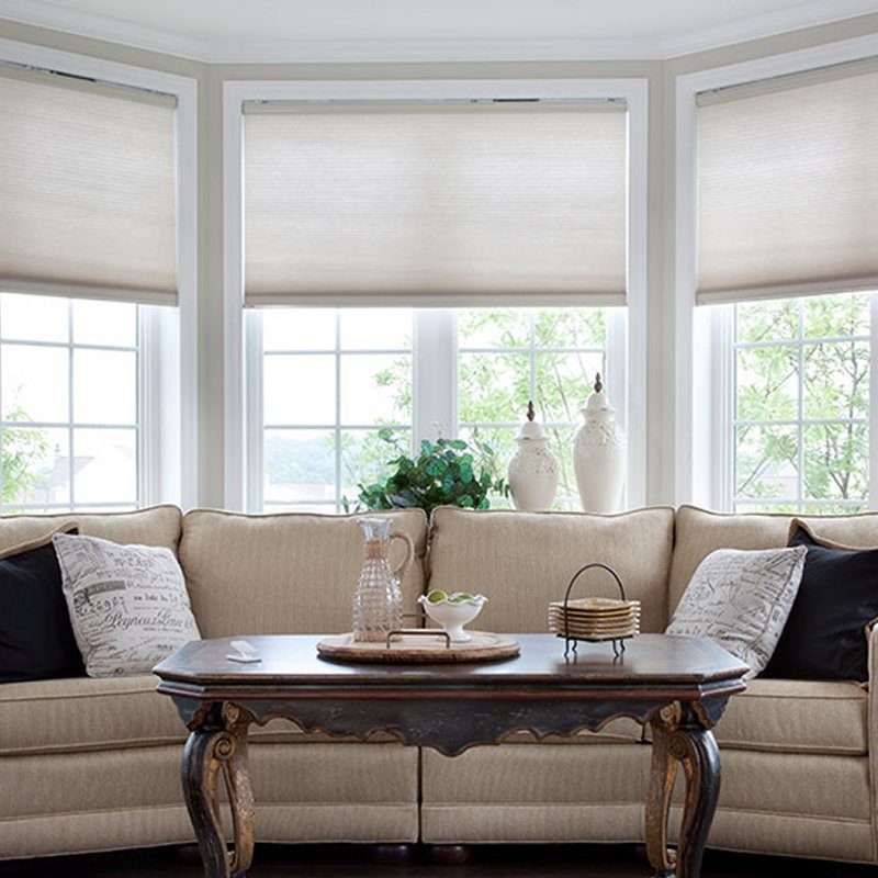 EcoSmart Custom Cellular Honeycomb Window Shades in Living Room