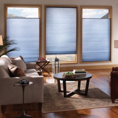 Standard Corded Top-Down/Bottom-Up Light-Filtering EcoSmart Cellular Window Shades in Living Room