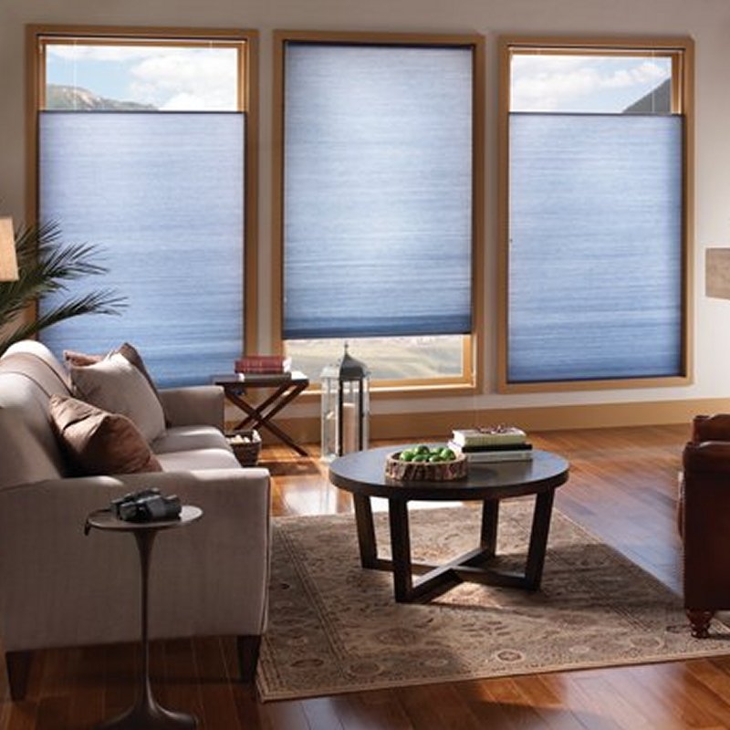 Standard Corded Top-Down/Bottom-Up Light-Filtering Cellular Window Shades