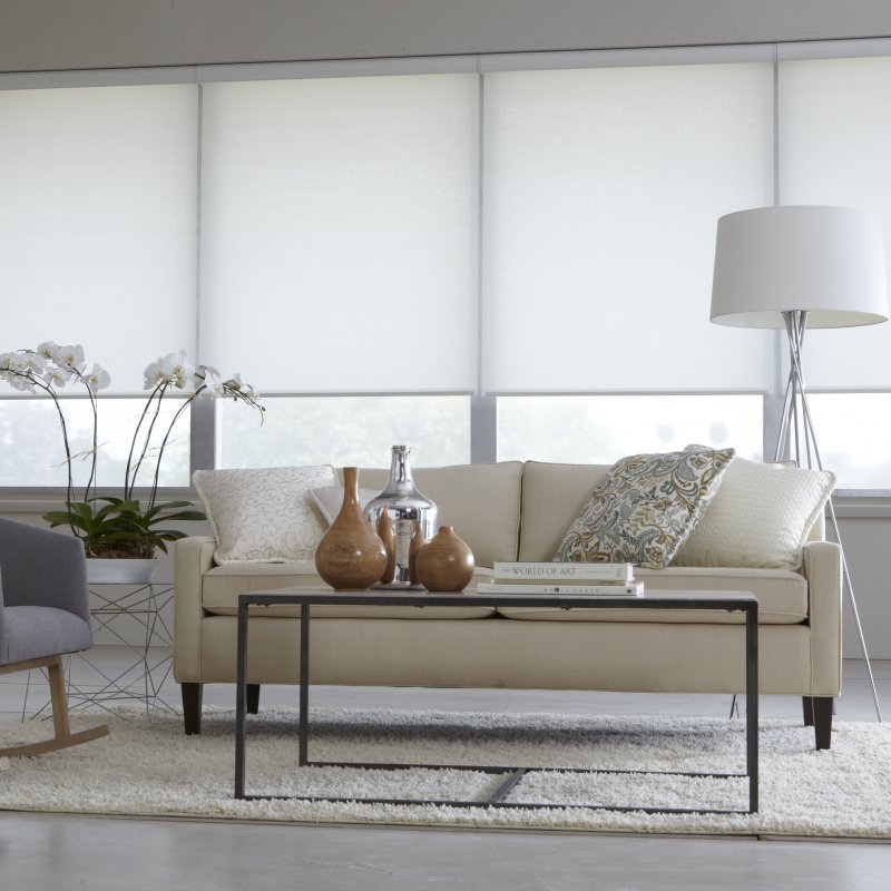 EcoSmart Custom Light-Filtering Transparent White Roller Shade in Living Room