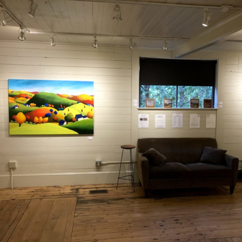 EcoSmart Chain Operated Blackout Room Darkening Roller Shade in Artist's Room