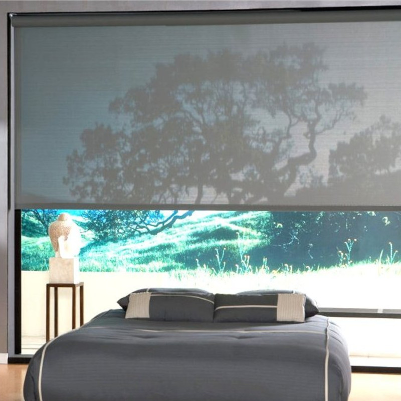 EcoSmart Chain Operated Light Filtering Translucent Roller / Solar Shade in Bedroom